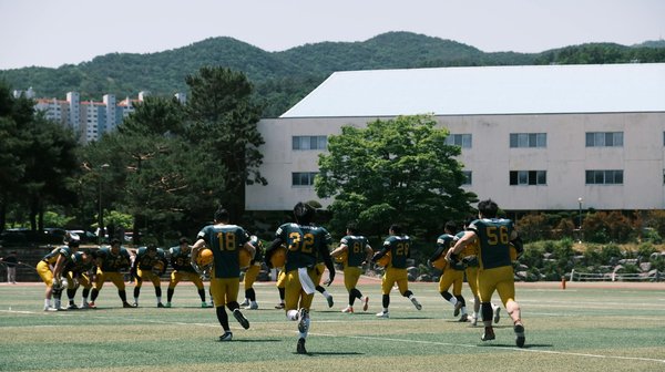 ¿Qué avances se están realizando en la conectividad de los automóviles?